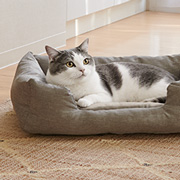 ペット用品