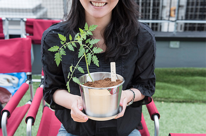 トマトの苗の植樹会