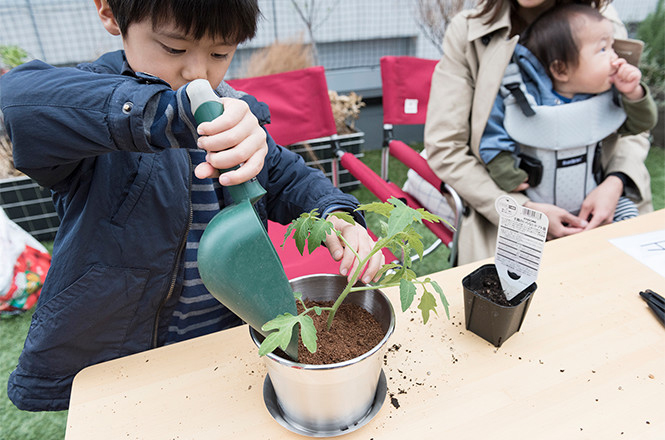 トマトの苗の植樹会