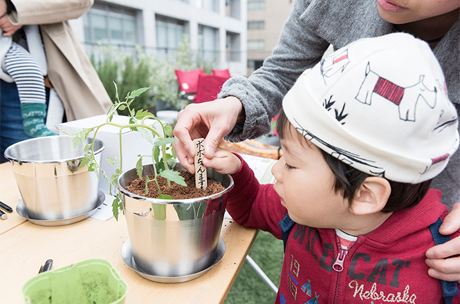 トマトの苗の植樹会