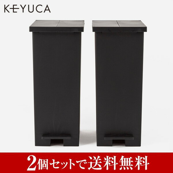 【WEB限定価格・送料無料】arrots ダストボックスII ゴミ箱 27L ブラック 2個セット