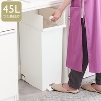 KEYUCA両開きダストボックス LL（42L）ホワイト ゴミ箱