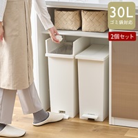 【WEB限定価格・送料無料】KEYUCA両開きダストボックス L（27L）ホワイト 2個セット ゴミ箱