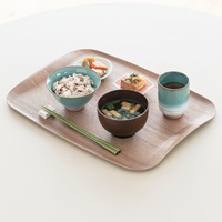 食洗mokriaファミリートレイ