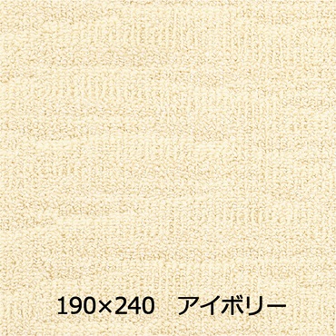 【WEB限定】抗菌防ダニ ポート(190×240 アイボリー)