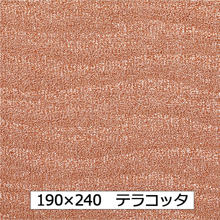 【WEB限定】抗菌防ダニ ポート(190×240 テラコッタ)