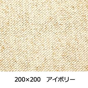 【WEB限定】大粒パイルでふっくら丈夫 パブロフ(200×200 アイボリー)