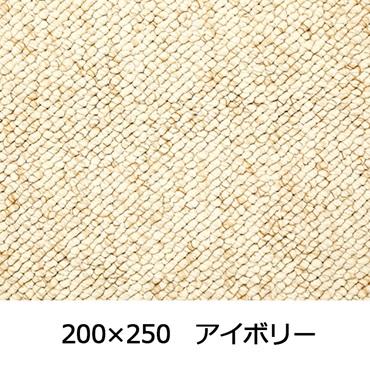 【WEB限定】大粒パイルでふっくら丈夫 パブロフ(200×250 アイボリー)