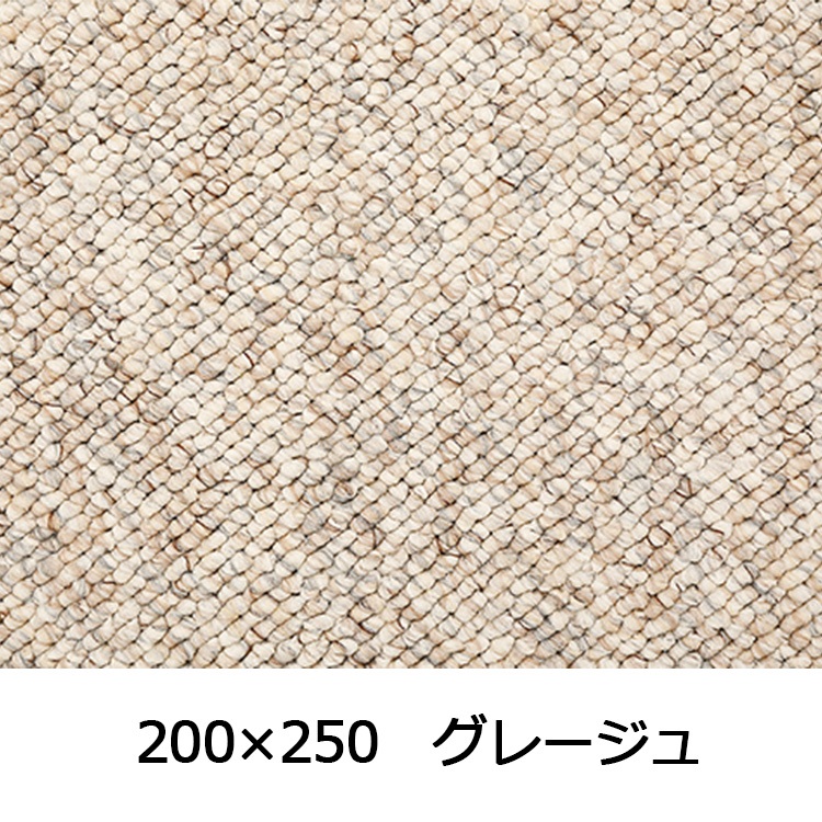 【WEB限定】大粒パイルでふっくら丈夫 パブロフ(200×250 グレージュ)