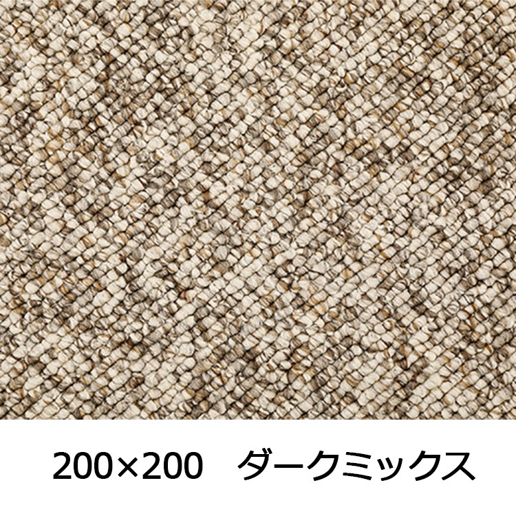 【WEB限定】大粒パイルでふっくら丈夫 パブロフ(200×200 ダークミックス)