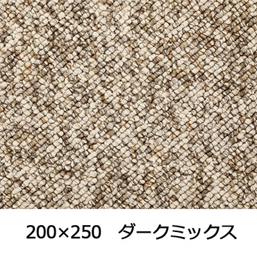 【WEB限定】大粒パイルでふっくら丈夫 パブロフ(200×250 ダークミックス)