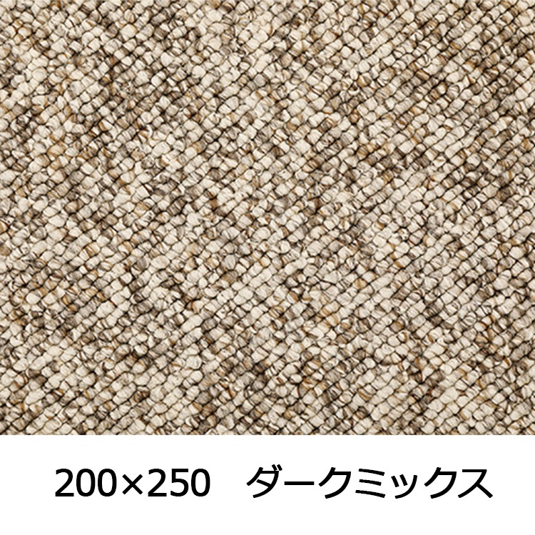 【WEB限定】大粒パイルでふっくら丈夫 パブロフ(200×250 ダークミックス)