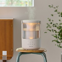 コンパクト　洗いやすくて自動乾燥　お手入れかんたん加湿器(MIST250)