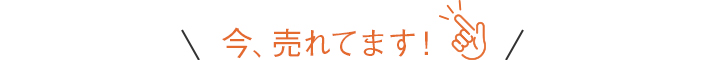 今売れてます！